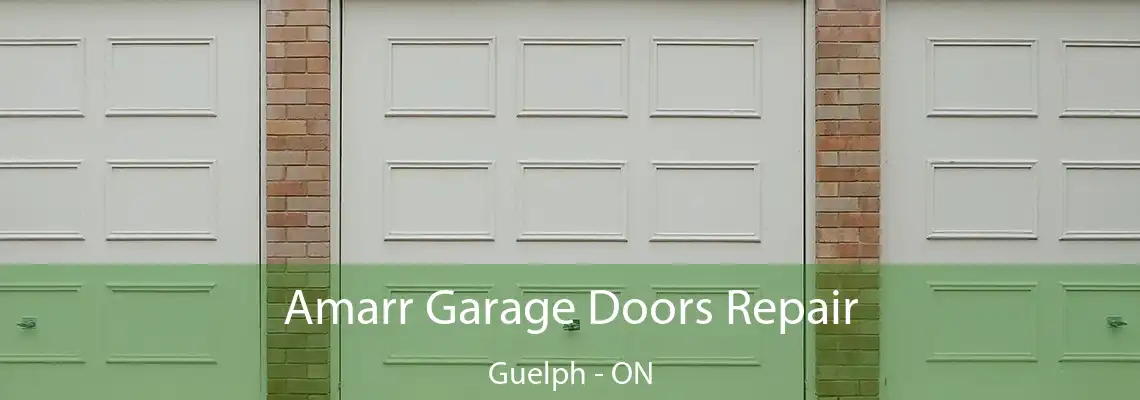 Amarr Garage Doors Repair Guelph - ON