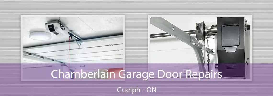  Chamberlain Garage Door Repairs Guelph - ON