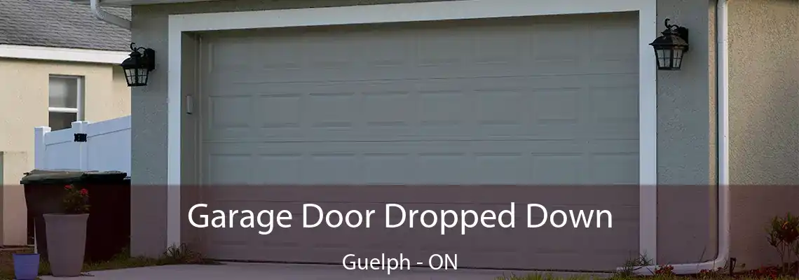 Garage Door Dropped Down Guelph - ON