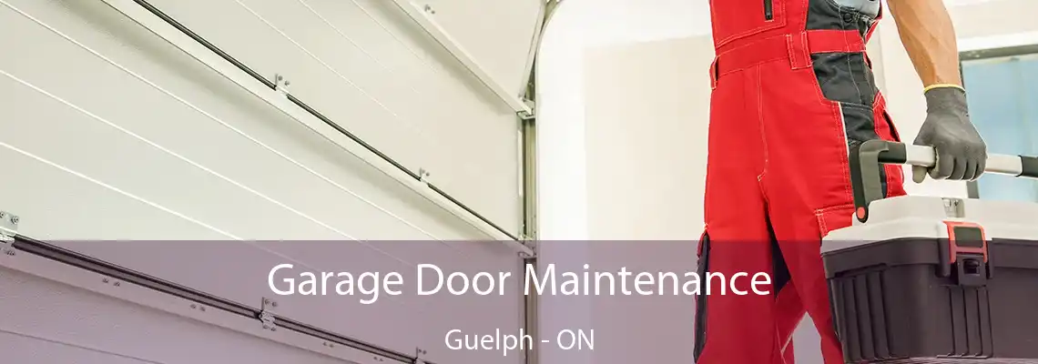Garage Door Maintenance Guelph - ON