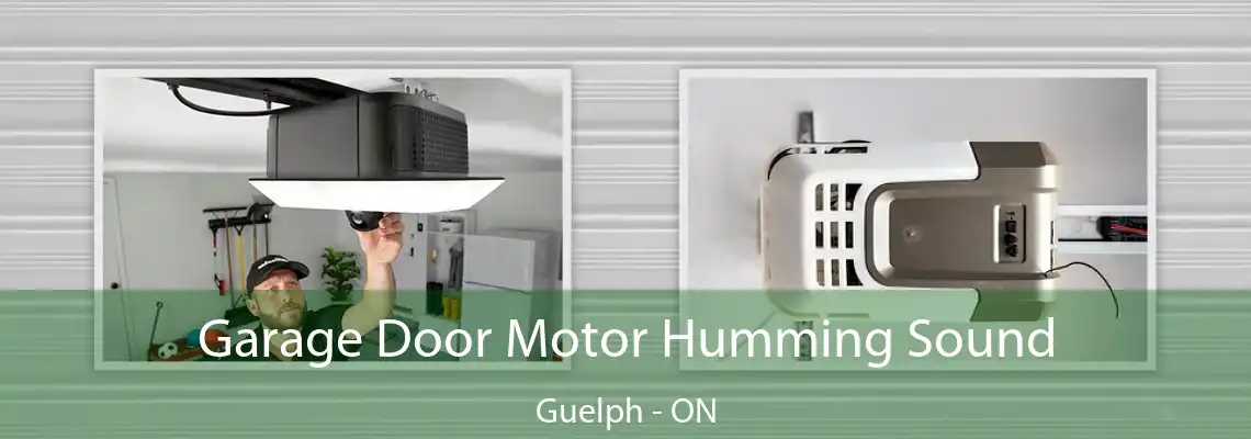 Garage Door Motor Humming Sound Guelph - ON