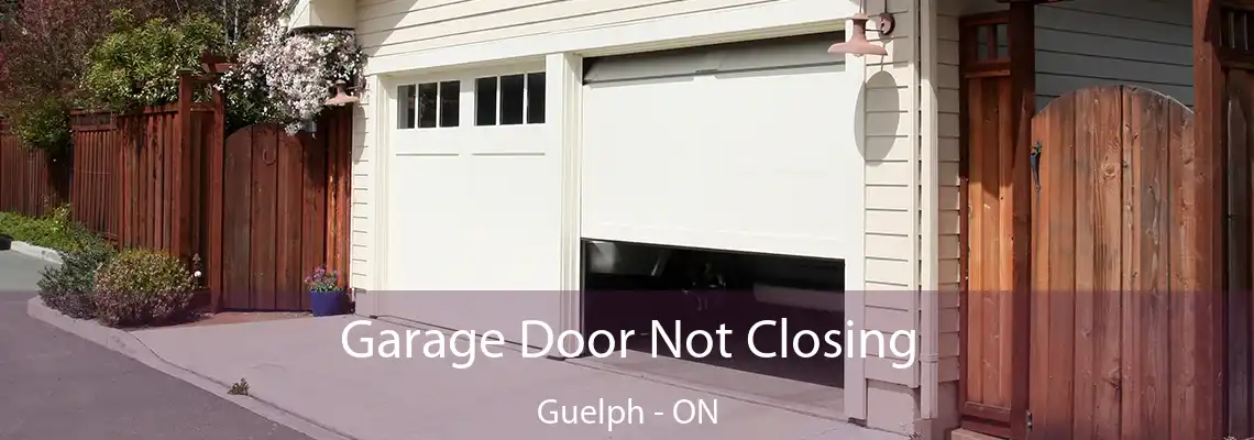 Garage Door Not Closing Guelph - ON