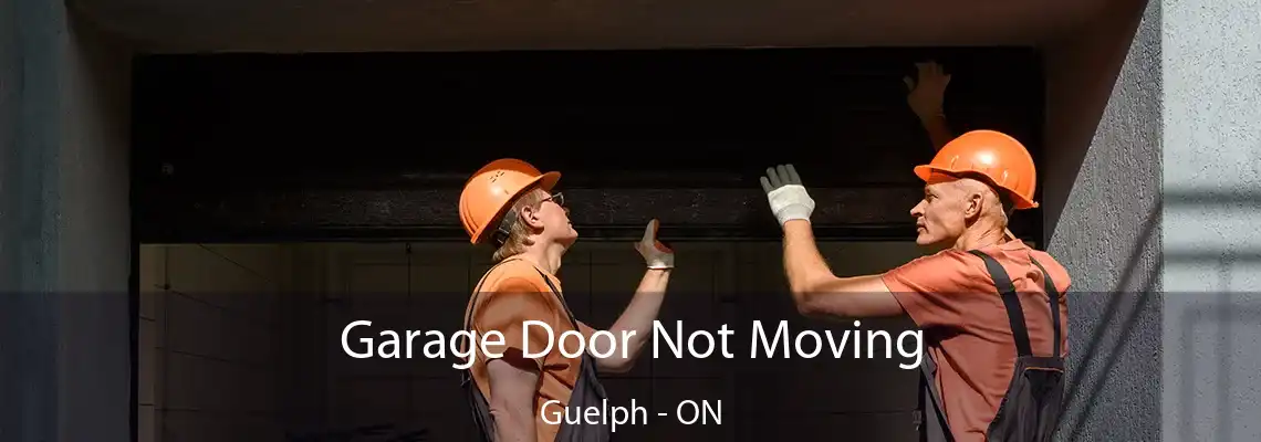 Garage Door Not Moving Guelph - ON