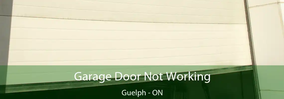 Garage Door Not Working Guelph - ON