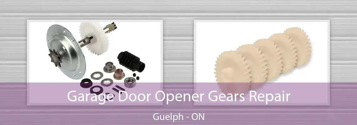 Garage Door Opener Gears Repair Guelph - ON