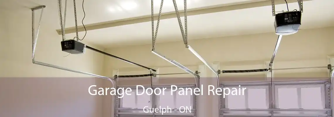Garage Door Panel Repair Guelph - ON