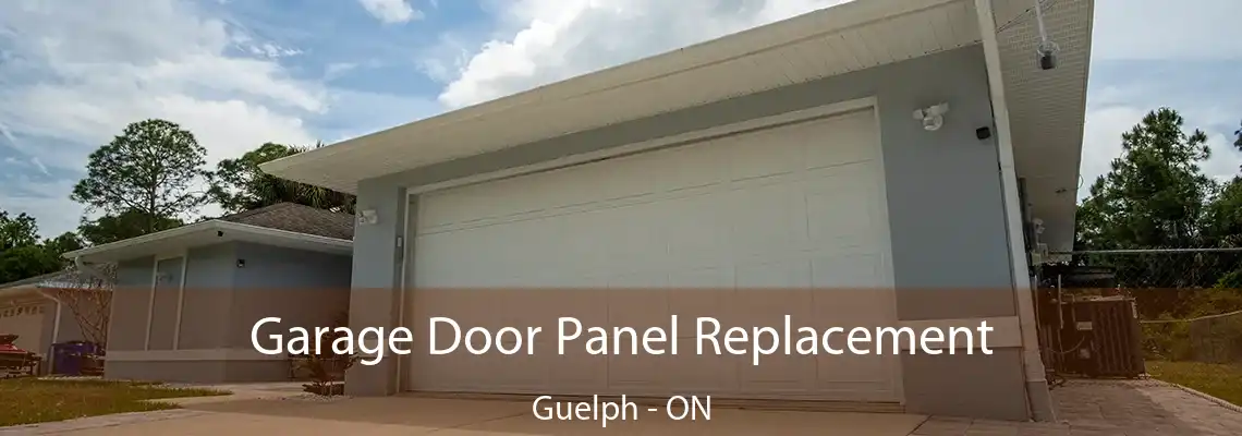 Garage Door Panel Replacement Guelph - ON