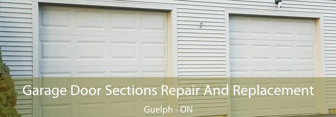 Garage Door Sections Repair And Replacement Guelph - ON