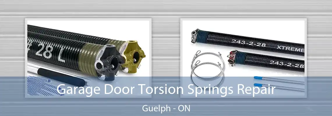 Garage Door Torsion Springs Repair Guelph - ON