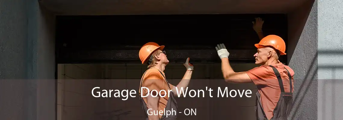 Garage Door Won't Move Guelph - ON