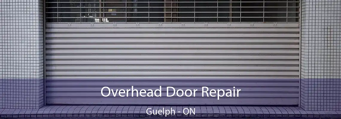 Overhead Door Repair Guelph - ON